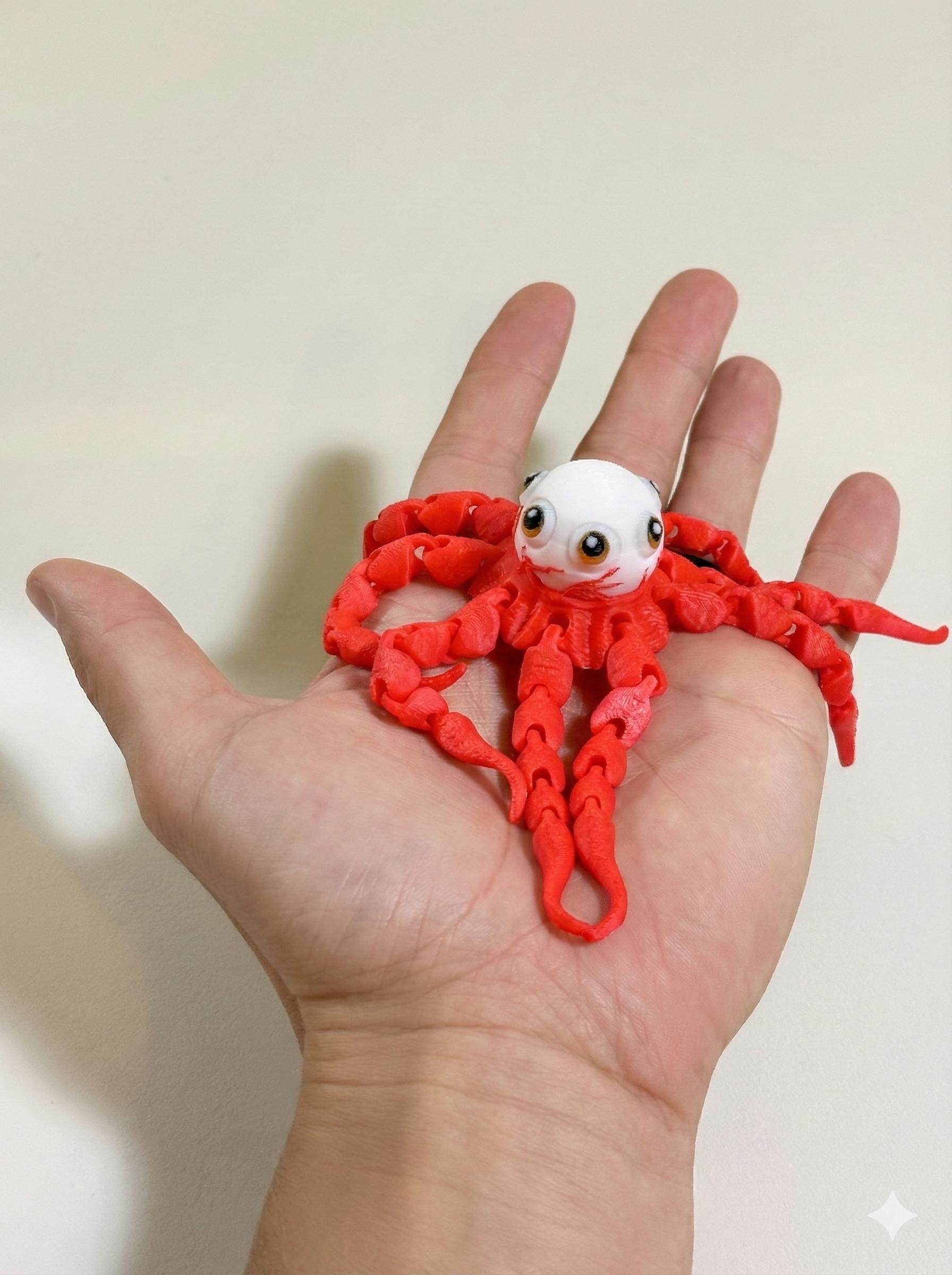Top-down view of T. Ocellus flexi octopus showing multi-color head detail